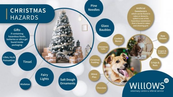 TC11886 - Willows - Christmas Social Media Infographics_v5-01 (003)
