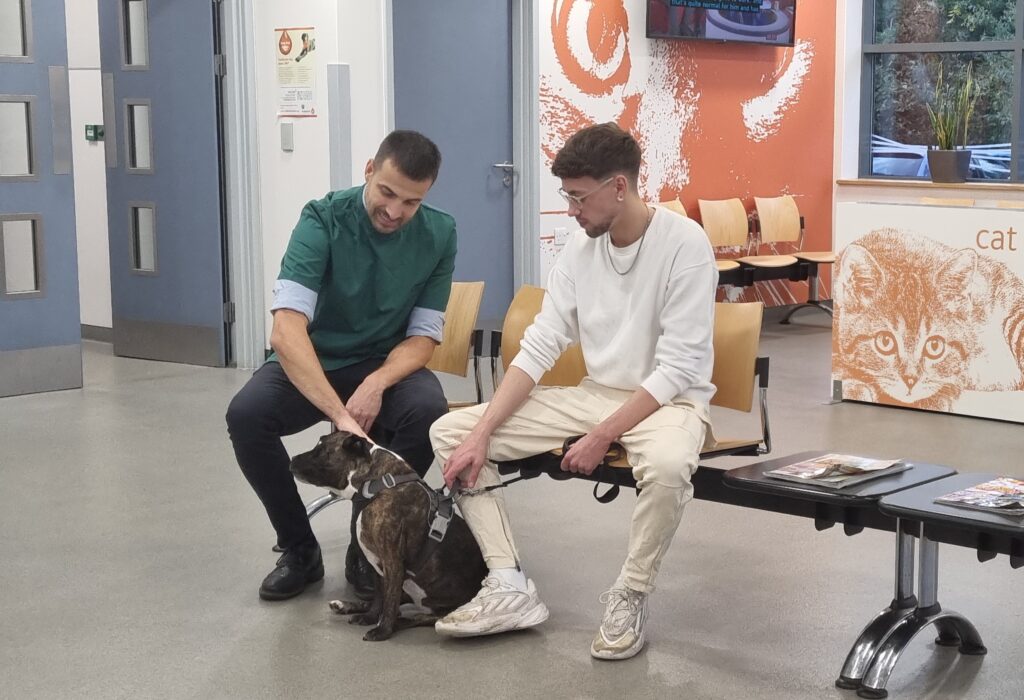 An image of a male vet wearing scrubs sitting in a waiting room next to a man wearing white clothes. Between them is a dog sitting on the floor and the man in white is holding the dog's lead. The vet is petting the dog.