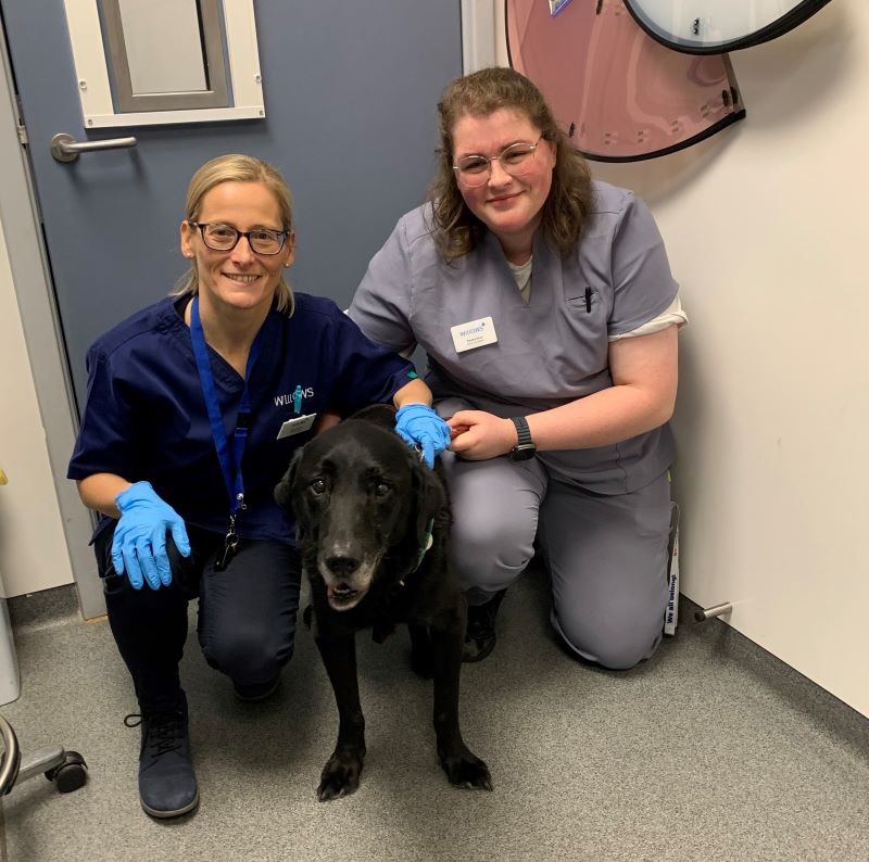 an image of Bow, a black labrador sitting on the floor of a vet consulting room between a vet and a nurse. To the left is a white woman with blonde hair and glasses, to the right is a white woman with brown hair and glasses, both are wearing scrubs and smiling at the camera.