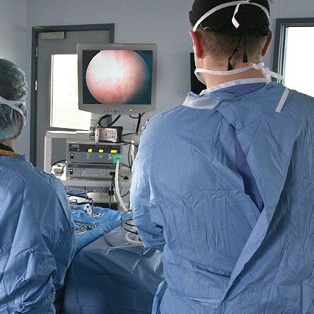 laparoscopic-ovariectomy-operation