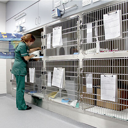 cat-friendly-cages-facilities