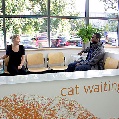 cat-friendly-waiting-facilities