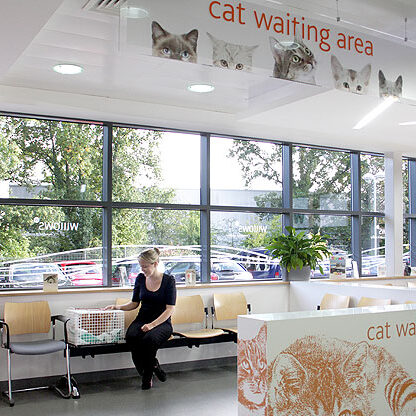 cat-friendly-waiting-facilities