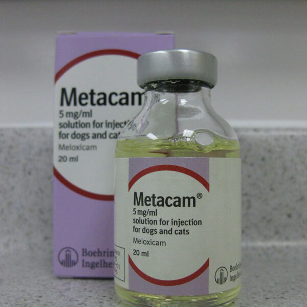 treating-pain-metacam